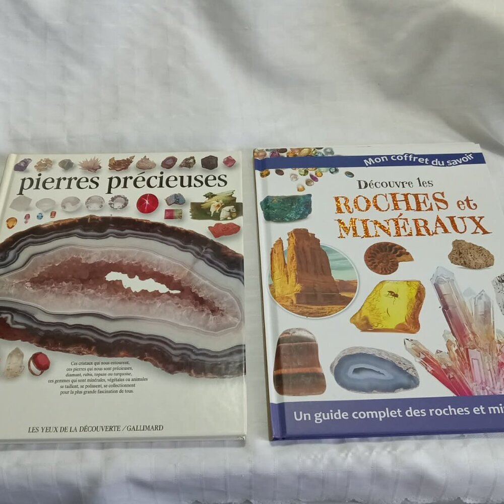 Two books on rocks, minerals, and gemstones, in French